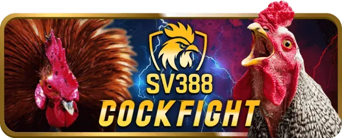 Bước 3: Chiến thuật chơi Tài Xỉu vvvvwin